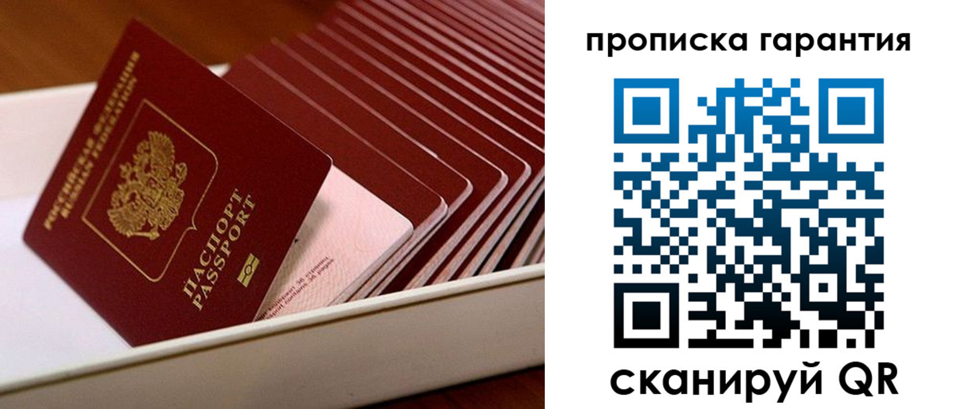 прописка поиск в Северной Осетии